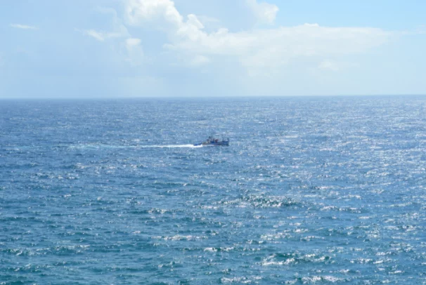 image 18